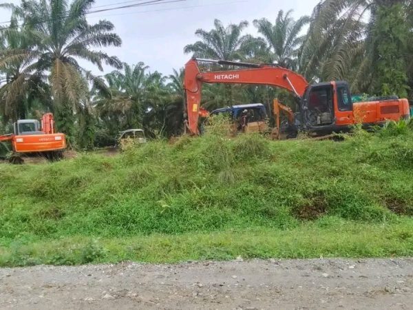 Koalisi Masyarakat Sipil Kecam PT SMART yang Menggusur Penduduk